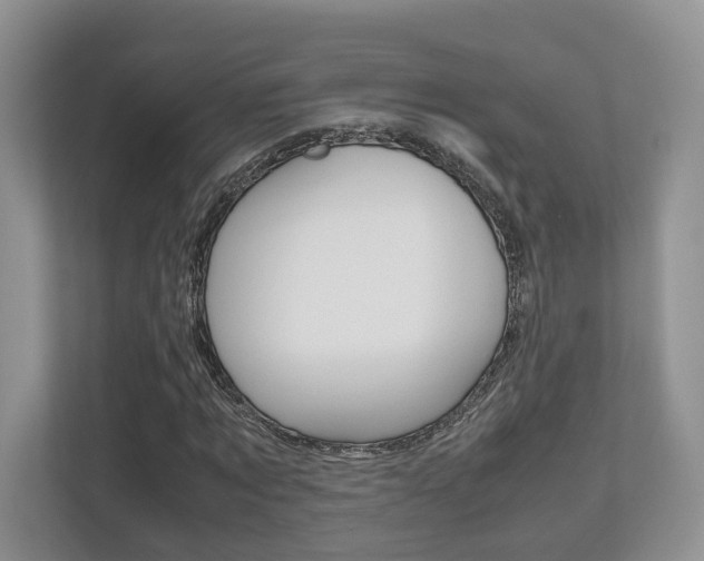 X0000112530869200908171143