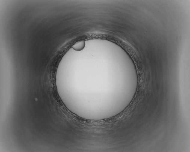 X0000112530870200908171143