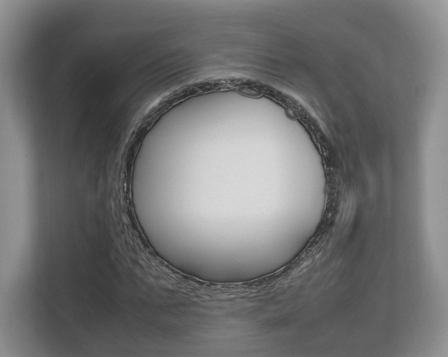 X0000112530871200908171143