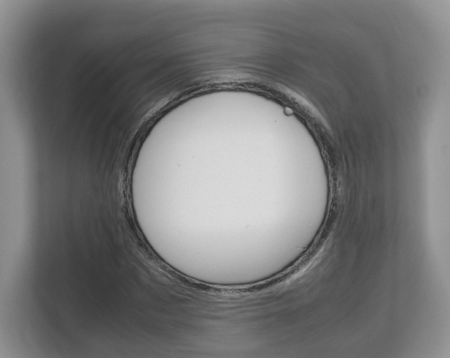 X0000112530873200908171142