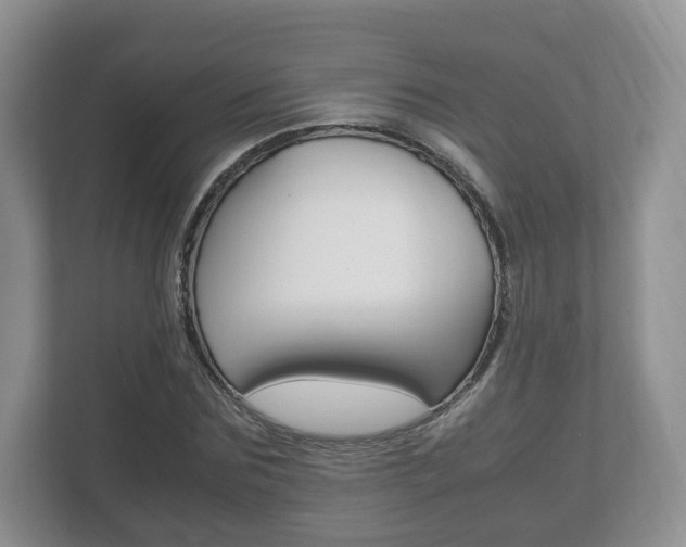 X0000112530875200908171142