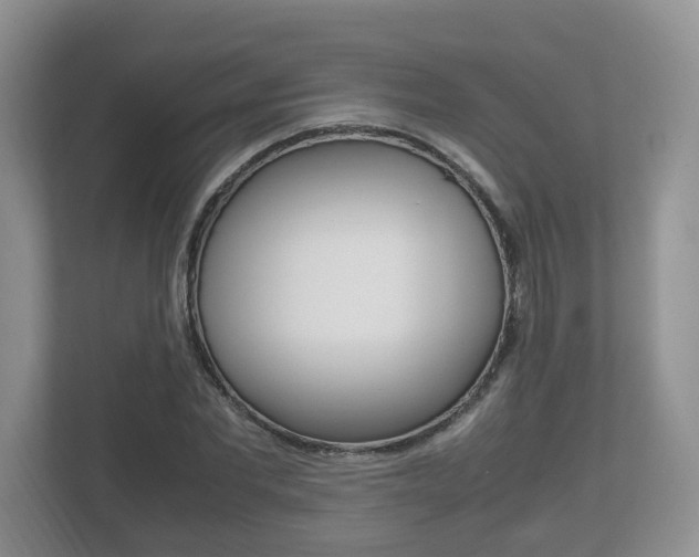 X0000112530877200908171142