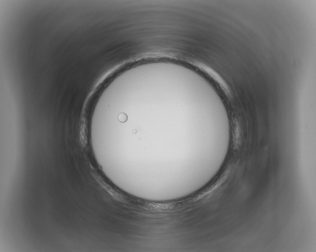 X0000112530878200908171142