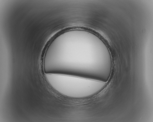 X0000112530879200908171142