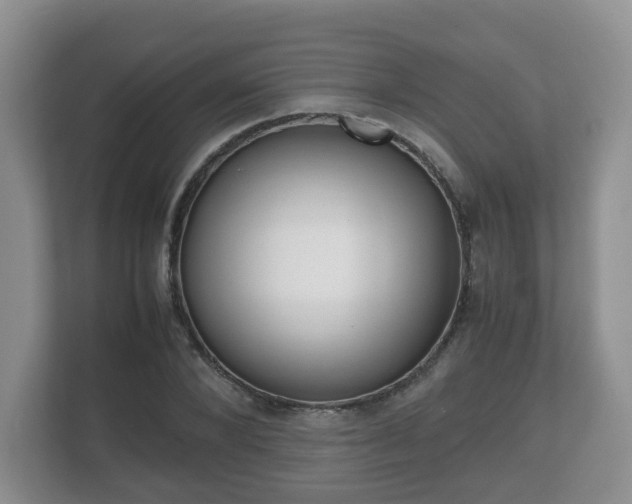 X0000112530880200908171142