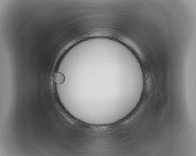 X0000112530882200908171142