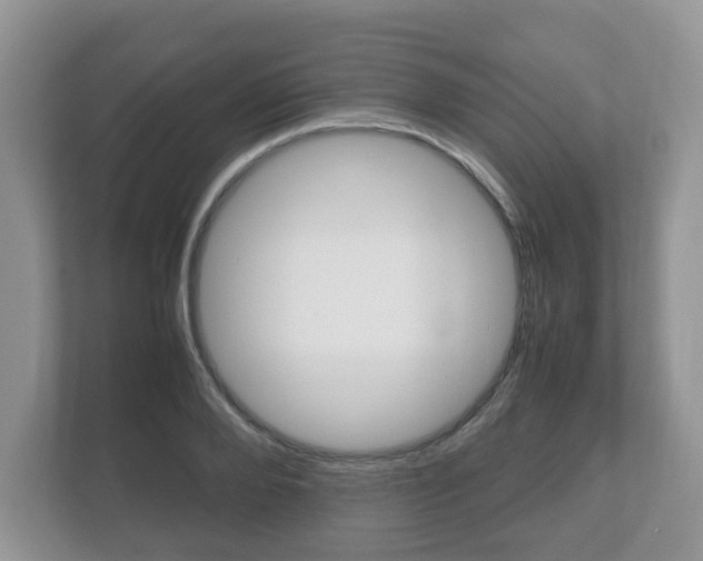 X0000112530888200908171142