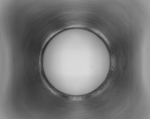 X0000112530890200908171142