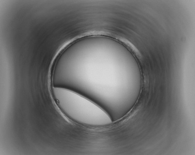 X0000112530894200908171142