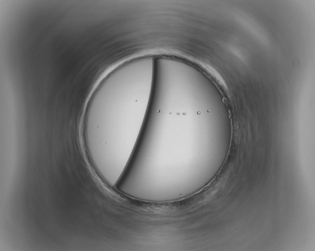 X0000112530895200908171142