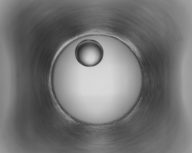 X0000112530896200908171142