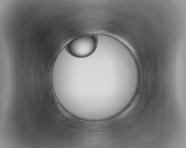 X0000112530897200908171142