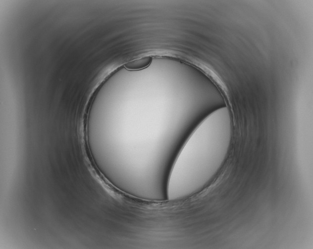 X0000112530898200908171142
