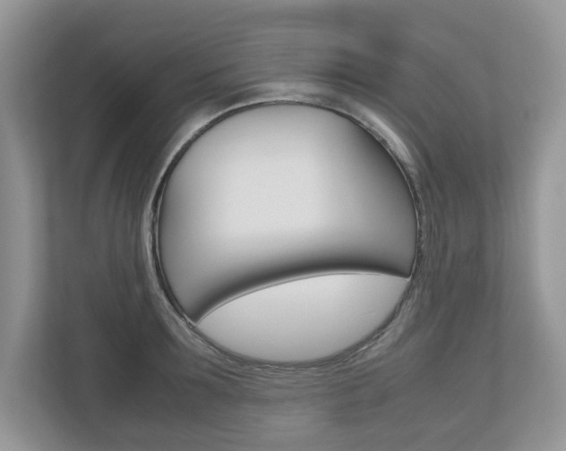X0000112530899200908171142