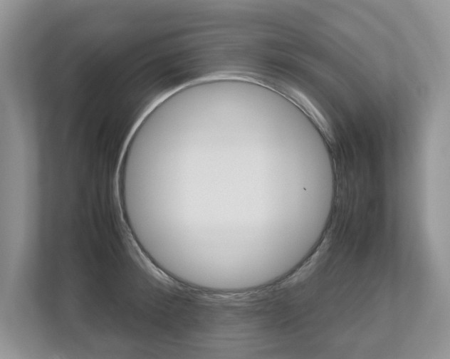 X0000112530900200908171142
