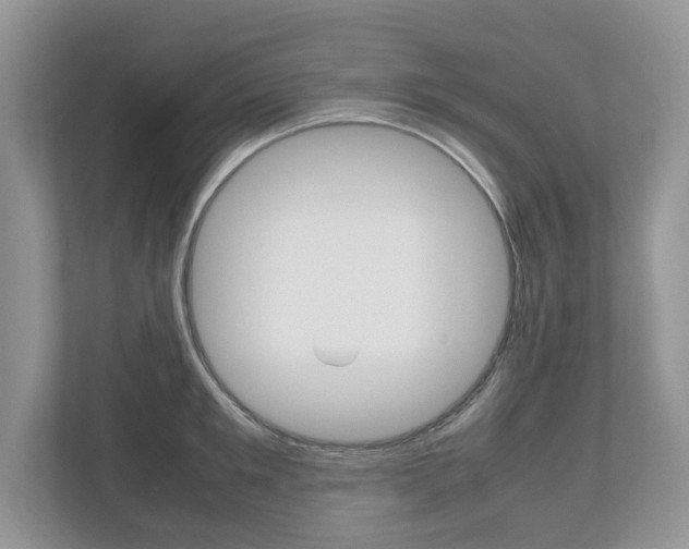 X0000112530901200908171142