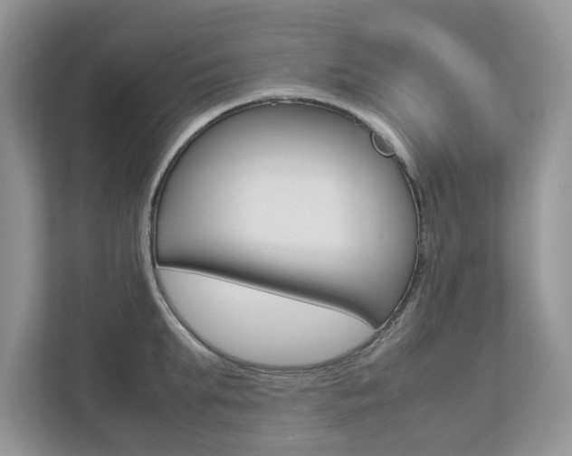 X0000112530903200908171142
