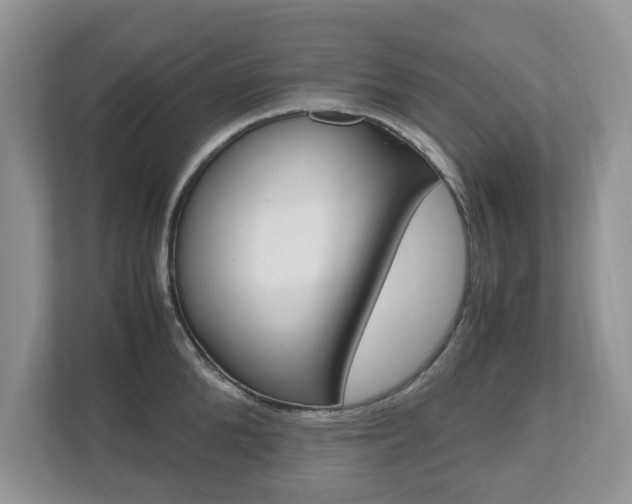 X0000112530904200908171142