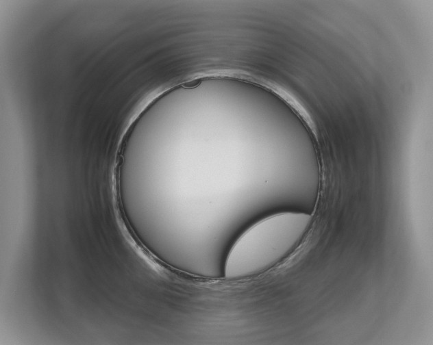 X0000112530906200908171142