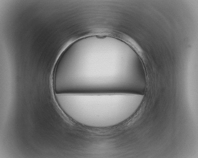 X0000112530907200908171142