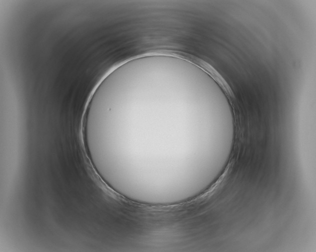 X0000112530908200908171142
