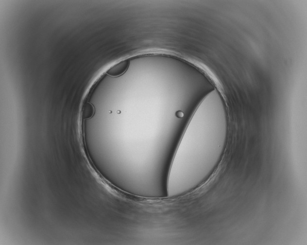 X0000112530910200908171142