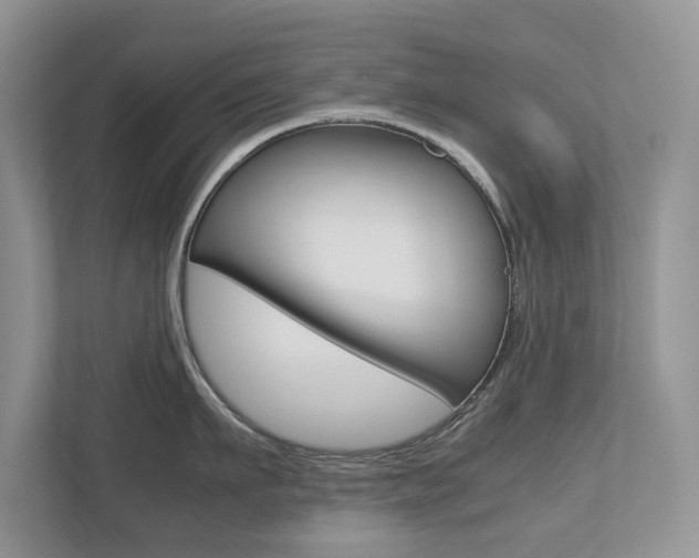 X0000112530911200908171142
