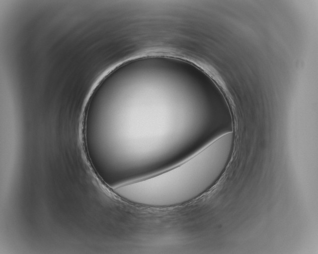X0000112530912200908171142