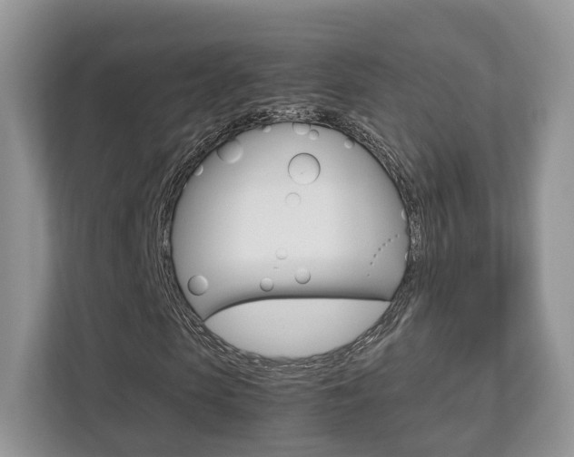 X0000112530913200908171141