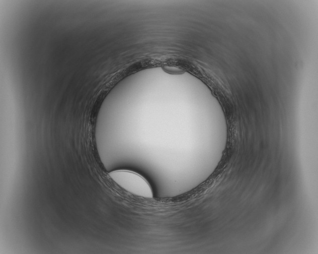 X0000112530914200908171141