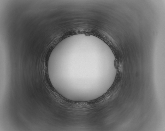 X0000112530915200908171141