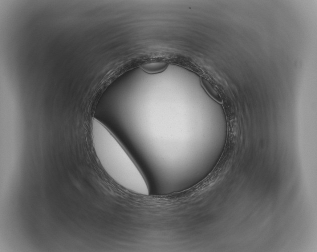 X0000112530916200908171141
