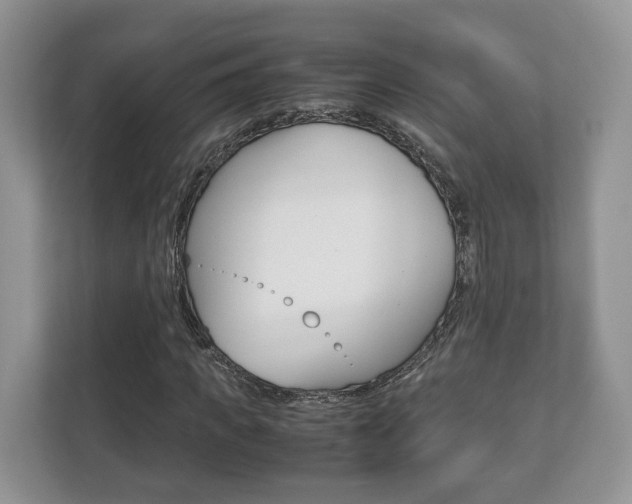 X0000112530917200908171141