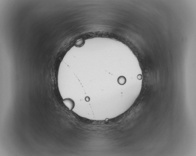 X0000112530918200908171141