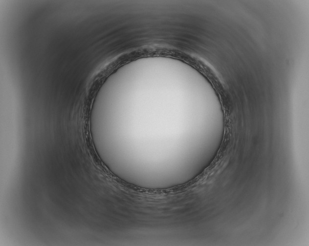 X0000112530919200908171141