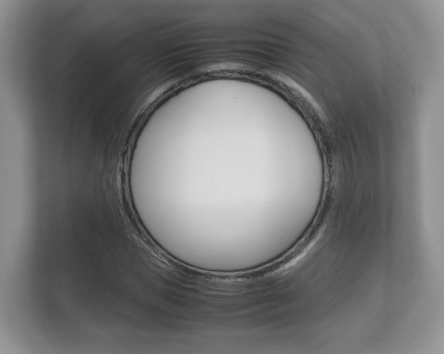X0000112530921200908171141