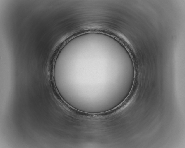 X0000112530922200908171141