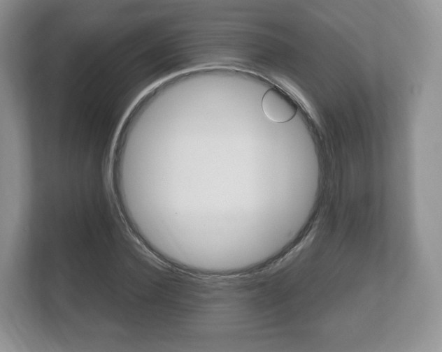 X0000112530924200908171141