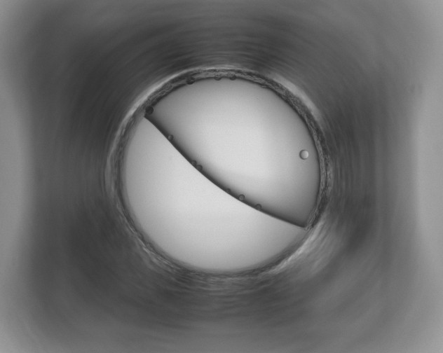 X0000112530925200908171142