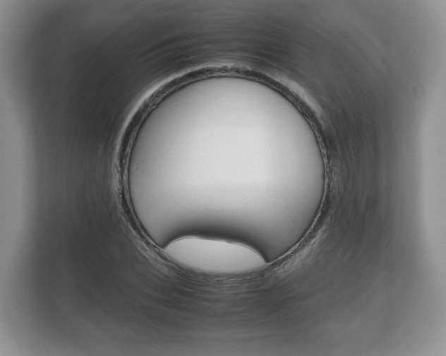 X0000112530927200908171142