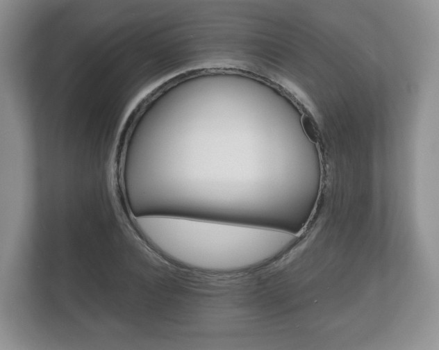 X0000112530928200908171142