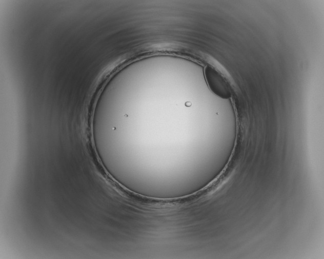 X0000112530930200908171142
