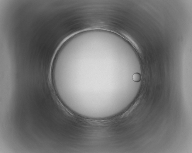 X0000112530932200908171142