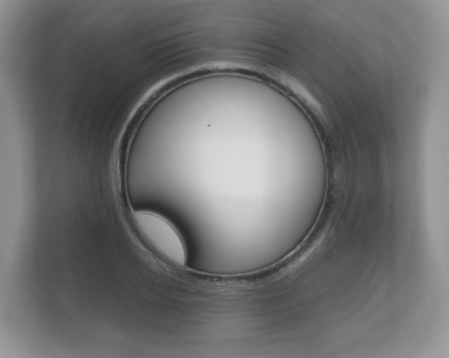X0000112530934200908171142