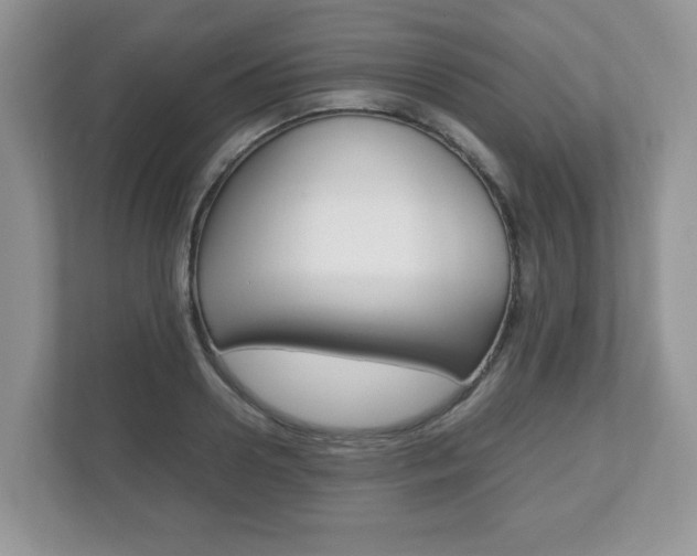 X0000112530938200908171142