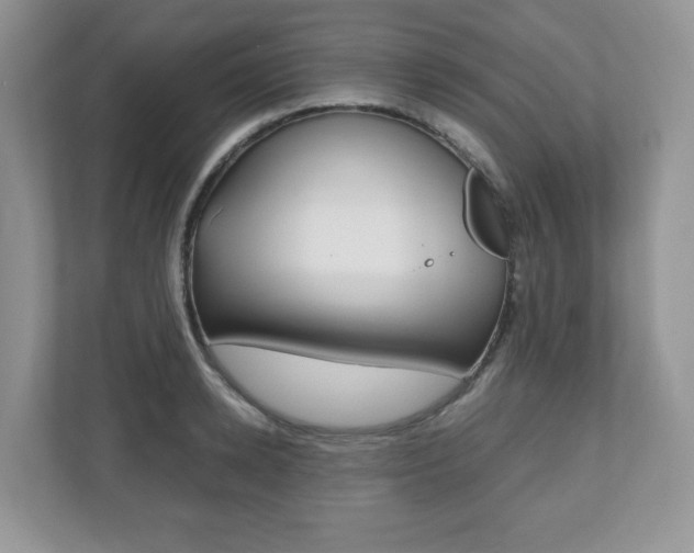X0000112530942200908171142