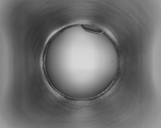 X0000112530944200908171142