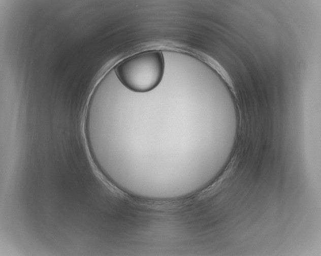 X0000112530946200908171142
