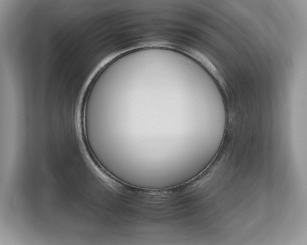 X0000112530947200908171142