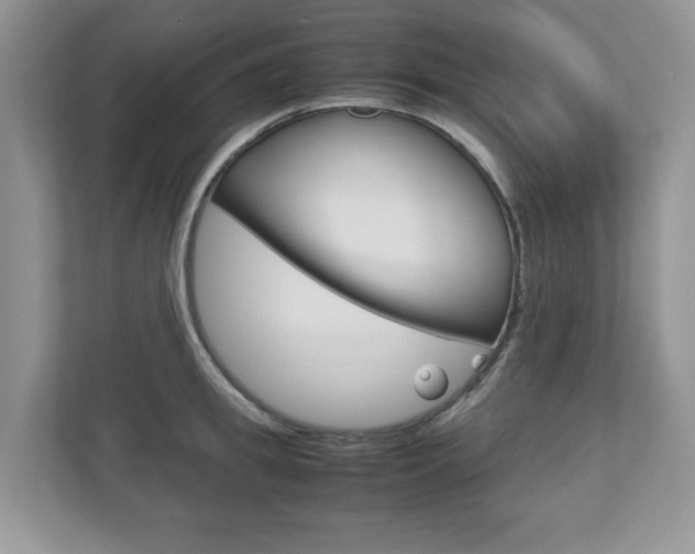 X0000112530949200908171142